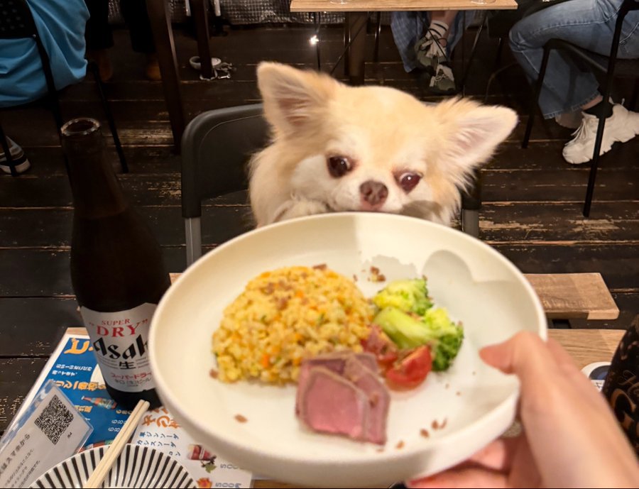 お出かけ