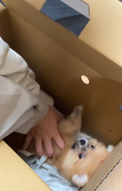 将来は大物になりそう！