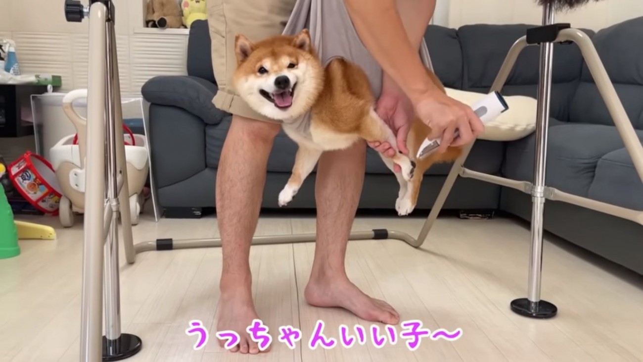 うにくんを励ますママ