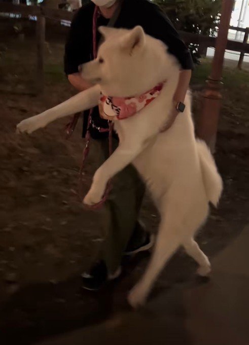 情けない姿が可愛い