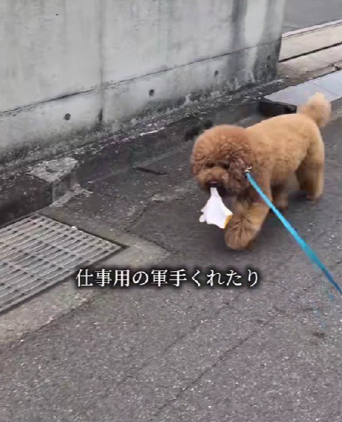 軍手をおもちゃとしてプレゼント