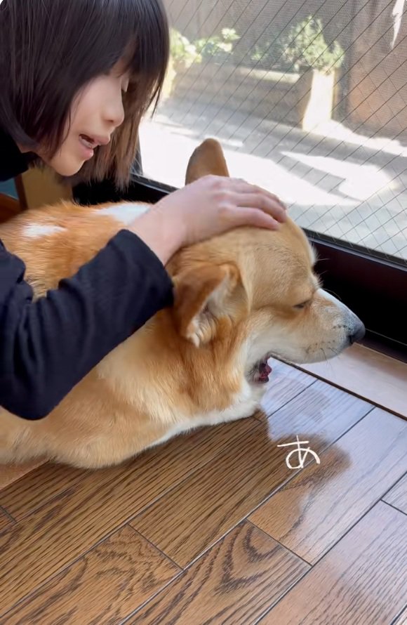 あくびをするジノくん