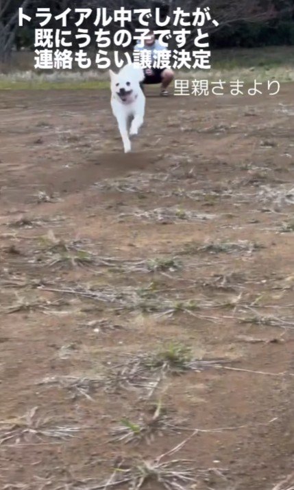 「すでにうちの子です」