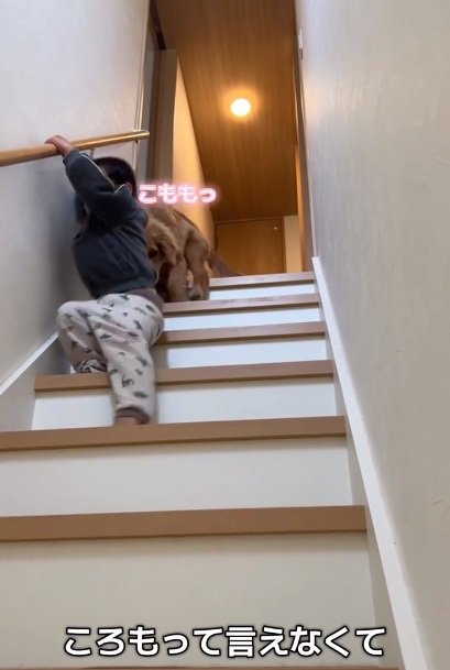 ころもちゃんを励ます弟くん