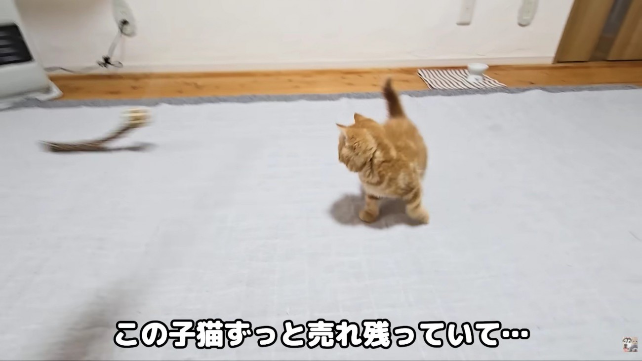 ずっと気にかけていた…