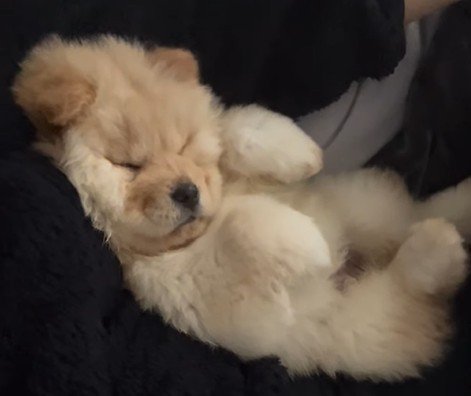 小梅ちゃんの成長3