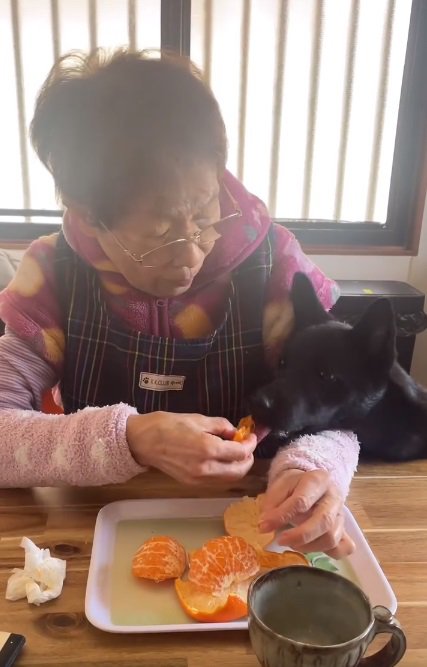 何度も食べるロイくん