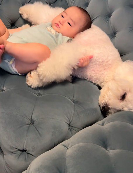 赤ちゃんと昼寝をするイヴちゃん