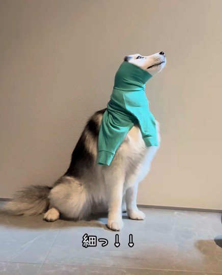 細すぎる…！！