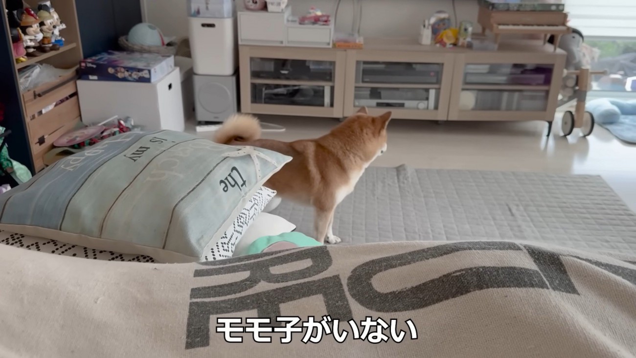 女の子を探してキョロキョロ