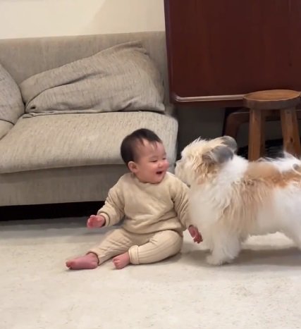 赤ちゃんを見る小太郎くん