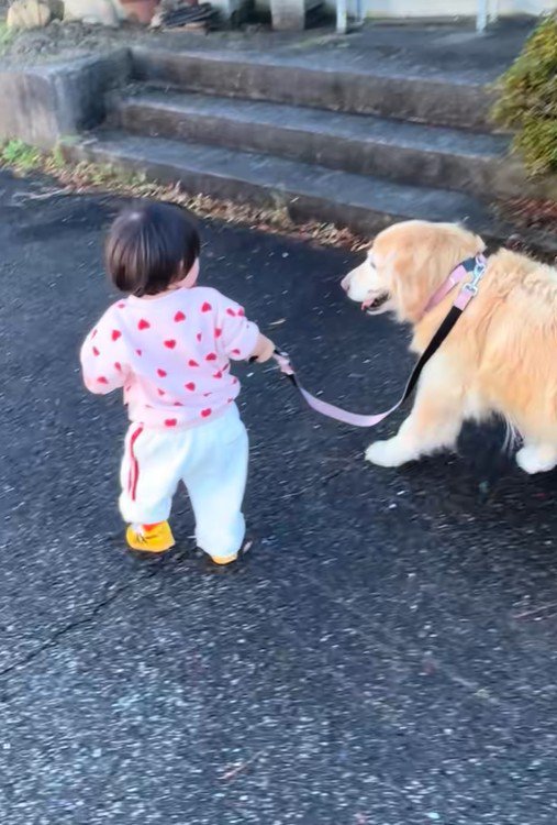 女の子とベルちゃんのお散歩5