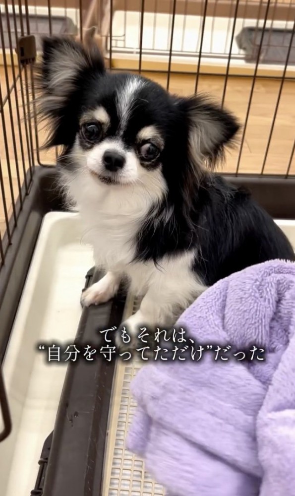 「なにするの…？」