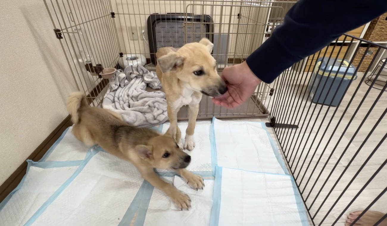 「おはようー！！」