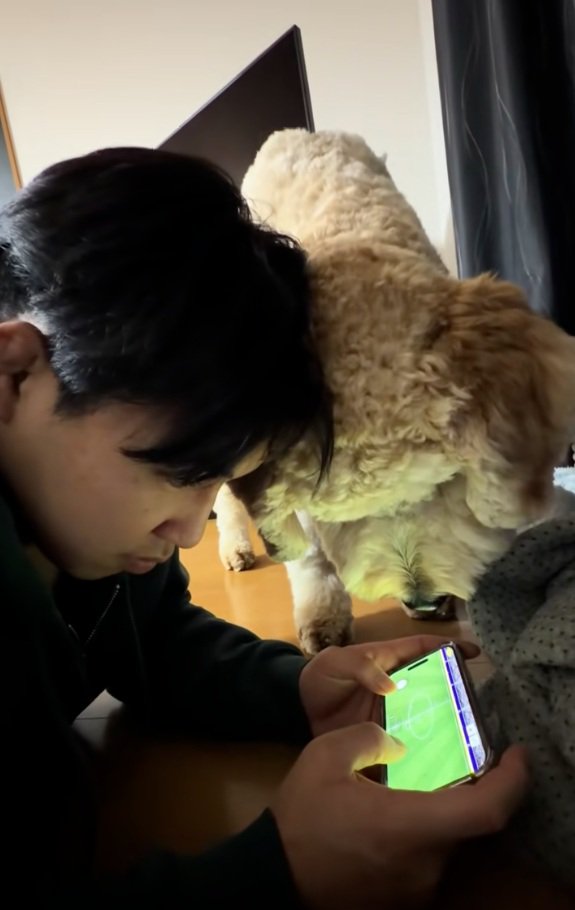 サッカーゲームをするお兄ちゃん