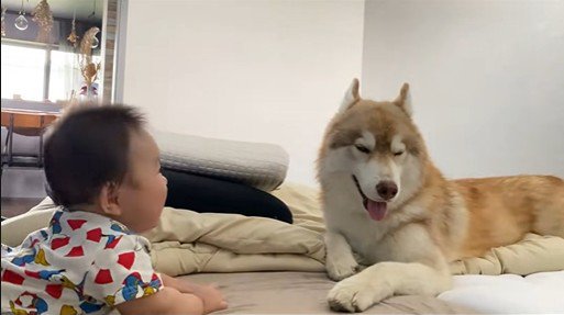 茶々丸くんと赤ちゃん8