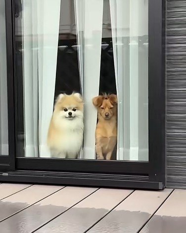 その隣には…