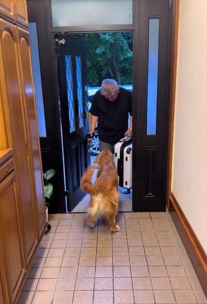 お出迎えするマッシュくん