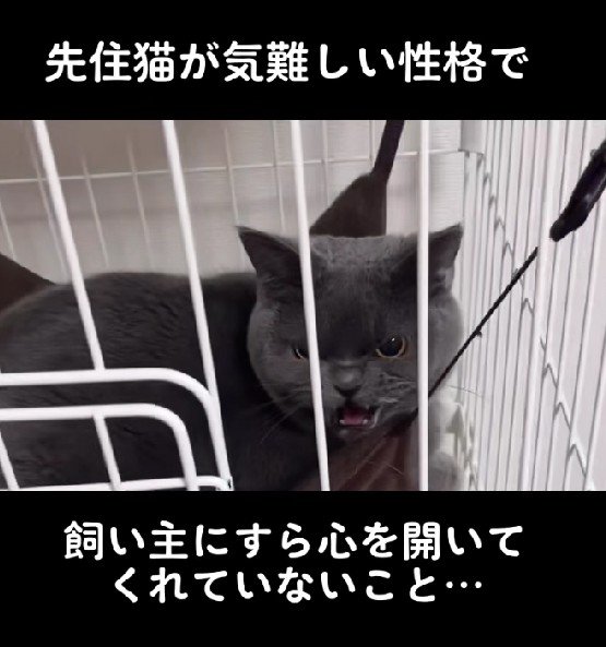 気難しい性格のよだれちゃん