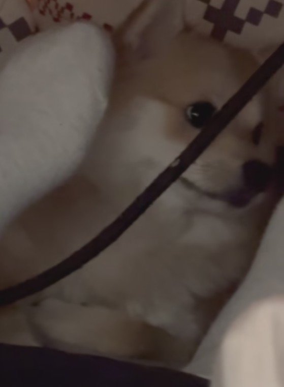 「いや、別に何も…」