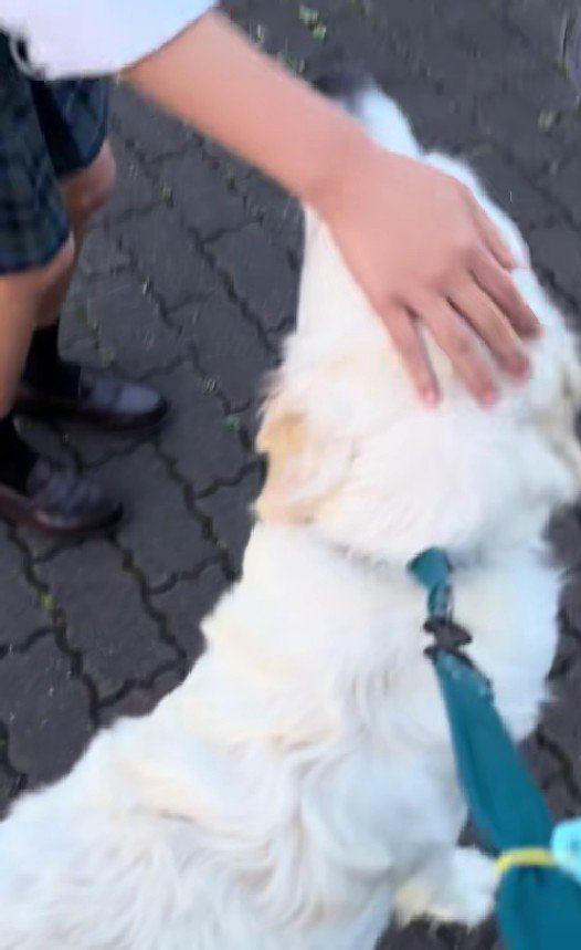 ナンパ大成功♡