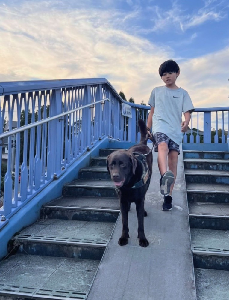 歩道橋を一緒に降りている子どもと犬
