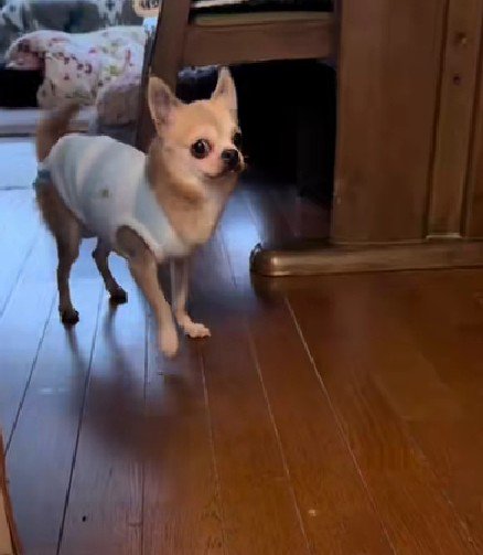 体調は少しずつ回復