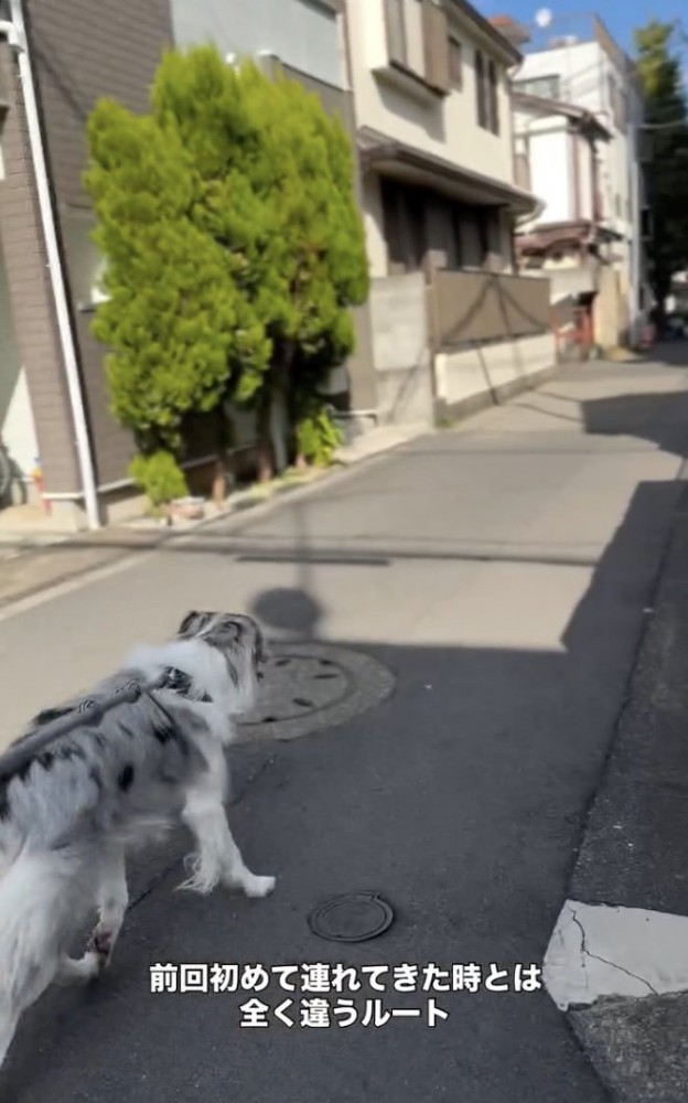 お店の場所を覚えているよう