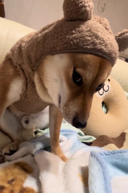 不満でブチギレ