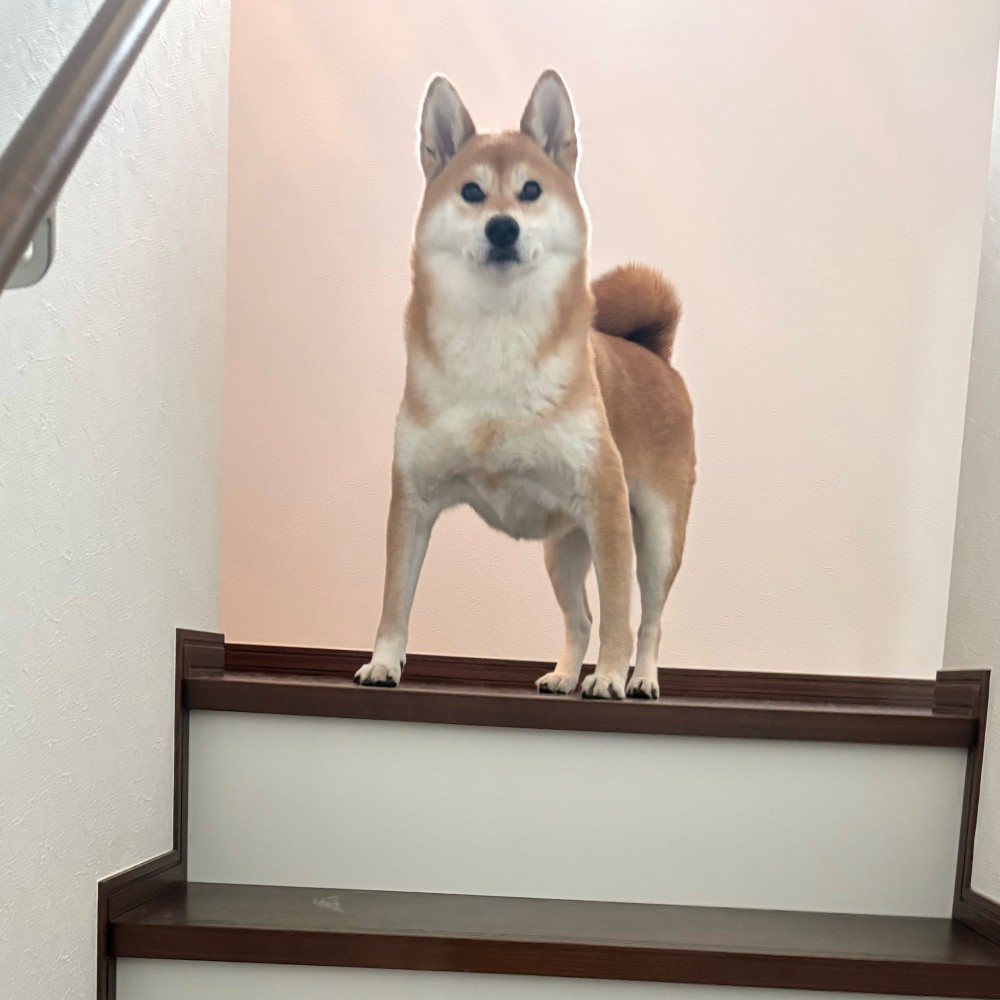 神々しい