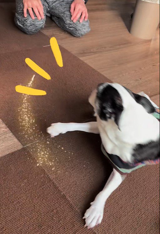 振り向いた瞬間に気づいて…