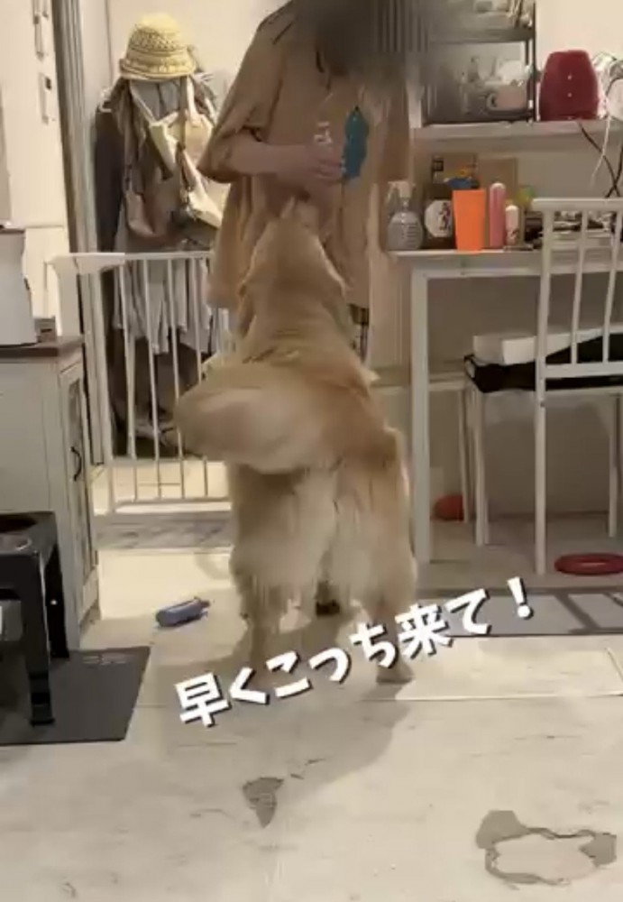 部屋着に着替えた友人へ駆け寄る麹くん