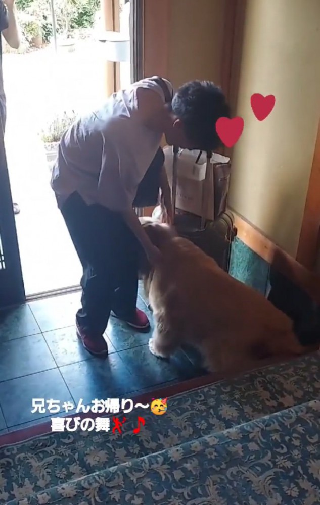 体を擦り付ける大型犬