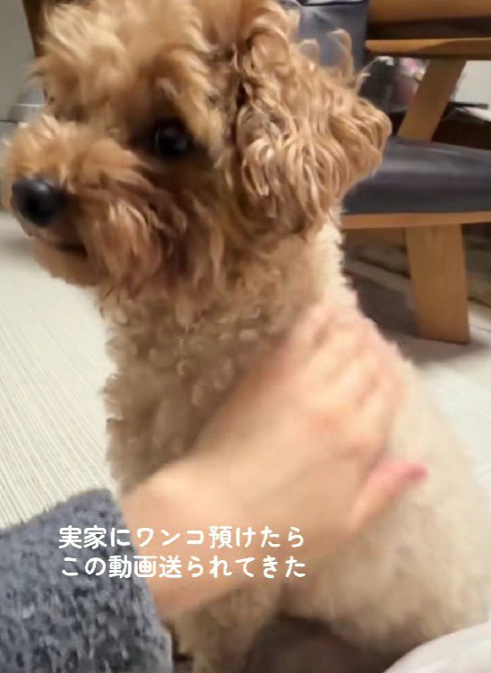お母さんから一本のLINE