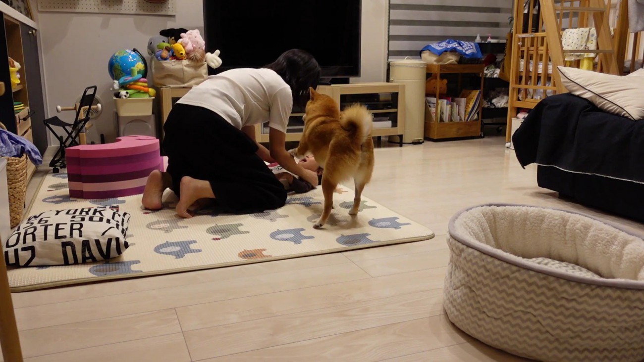 「ママ…何してるの…？」