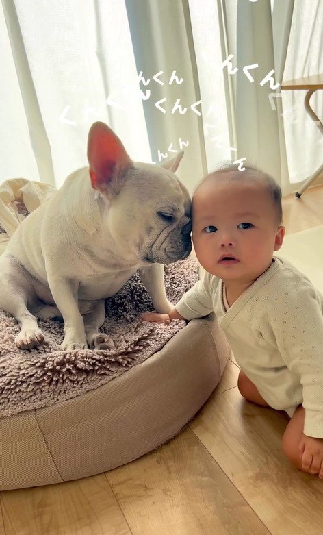 ひたすら嗅ぎ続けています！