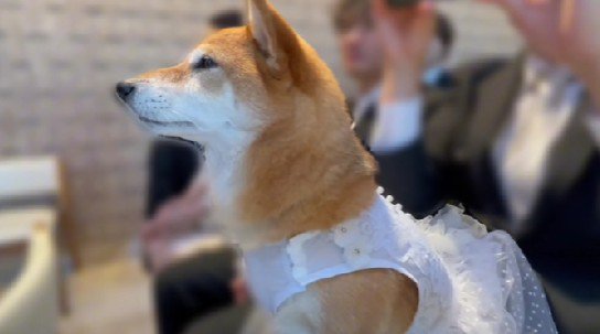 幸せを願っているのかも…