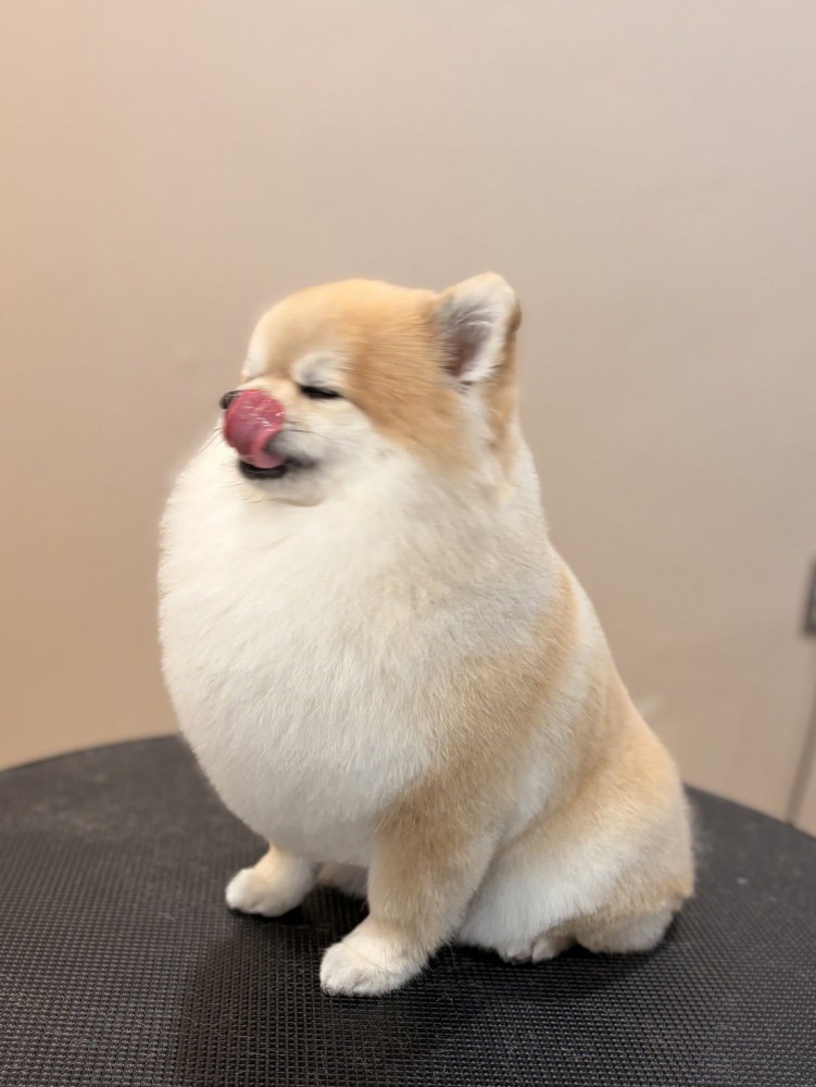 胸毛