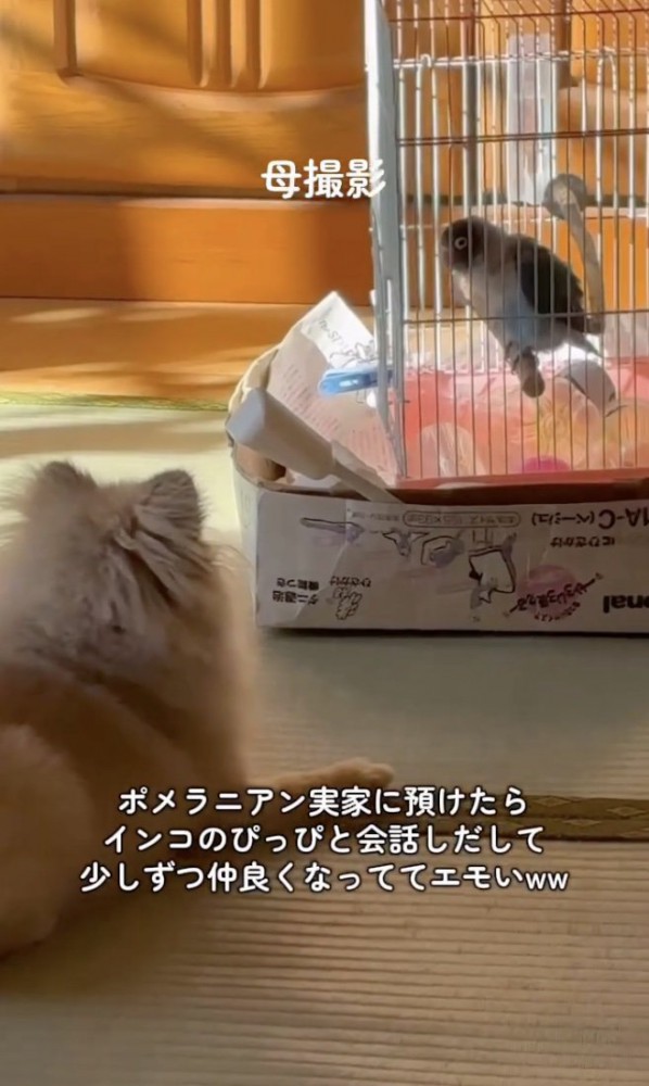 お友達になれるかな？