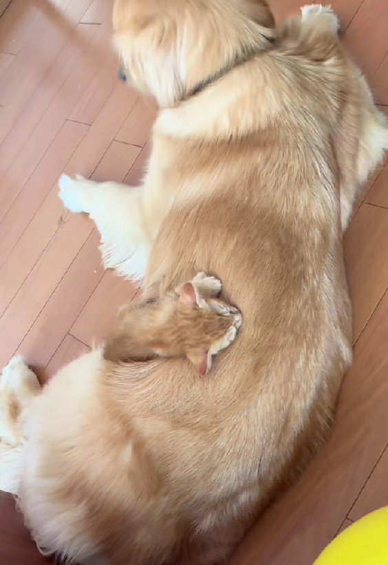 微笑ましいワンシーンでした