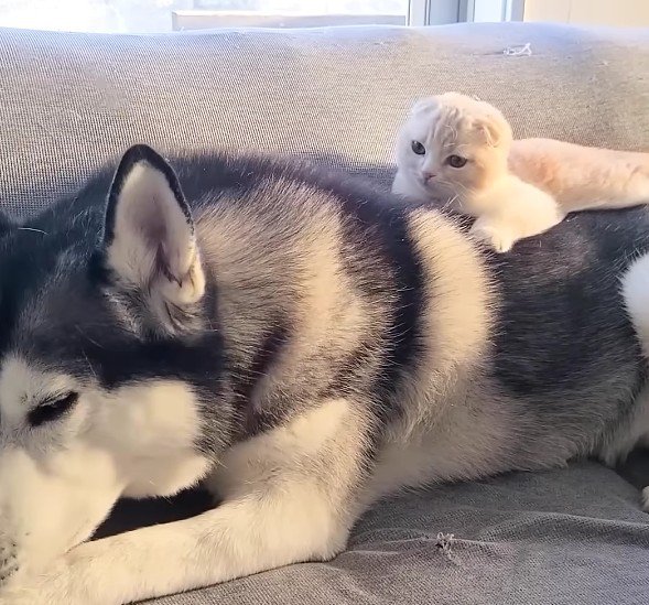 はっちゃんとじゅんちゃん