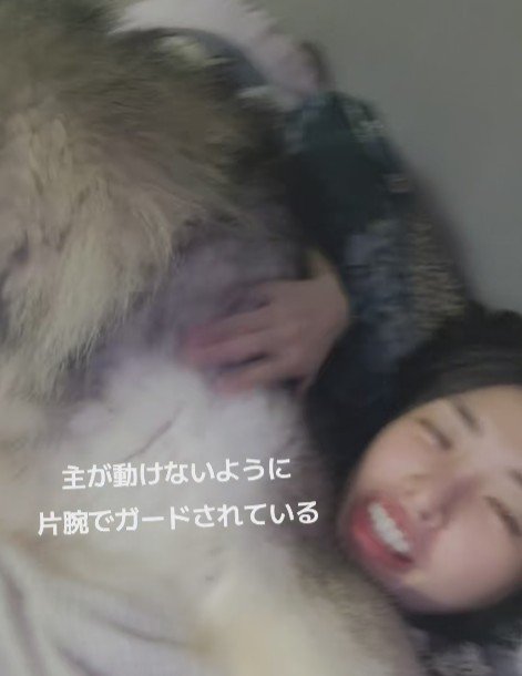 投稿主さんへの愛が止まらない