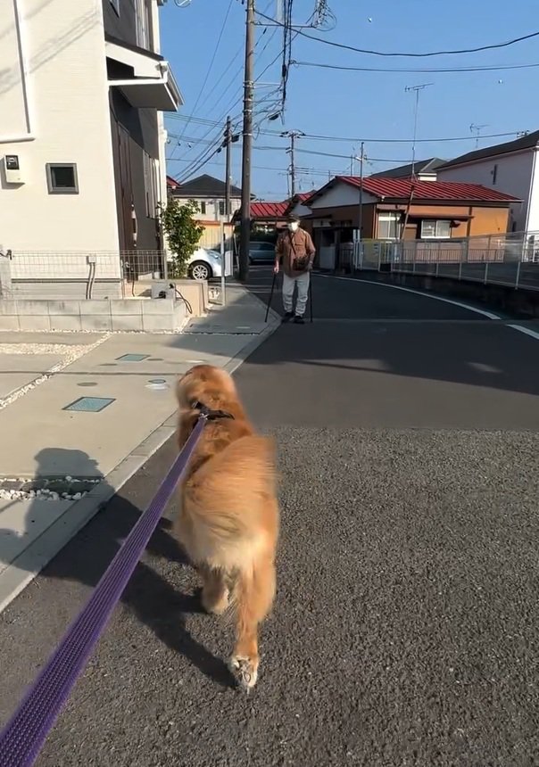 おじいちゃんを発見したりく君