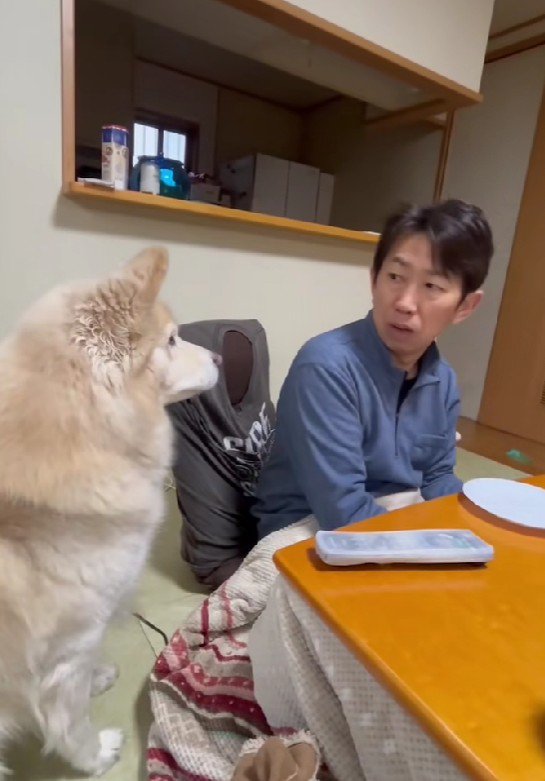 ポジションを整えて再挑戦