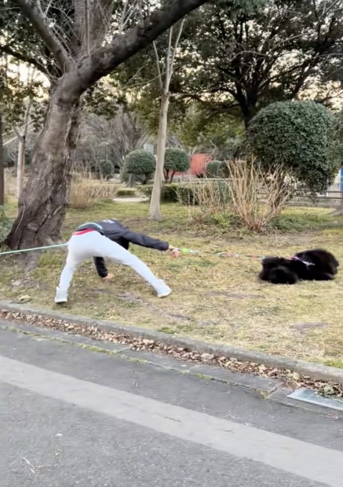 うにちゃん「ふぅ」