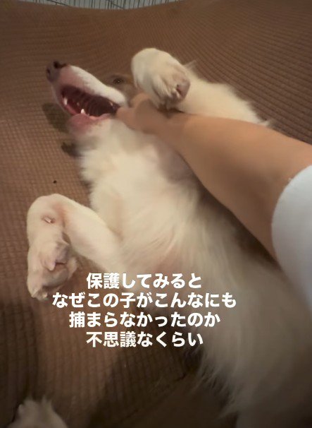 とても甘えん坊だった