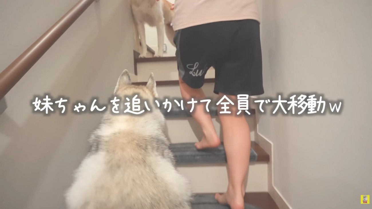 寝かしつけするって！