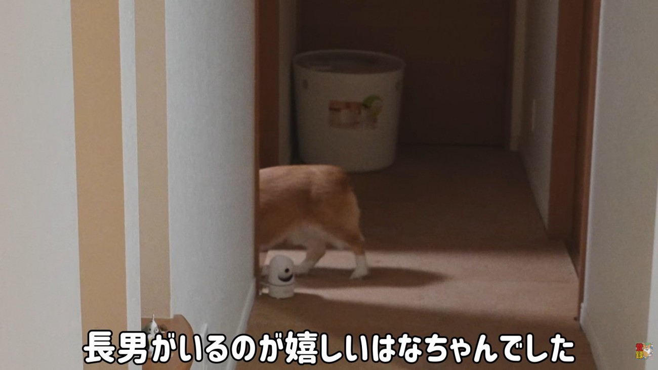 今度は部屋の中へ