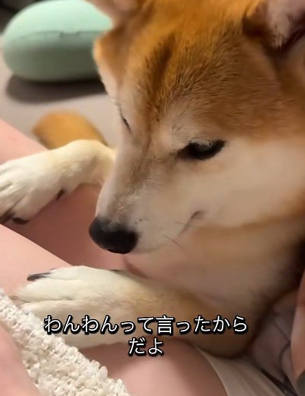 ママに甘えて…
