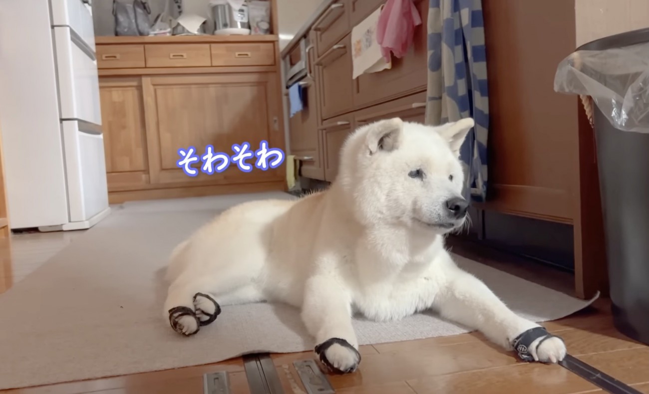 「まだかな…」